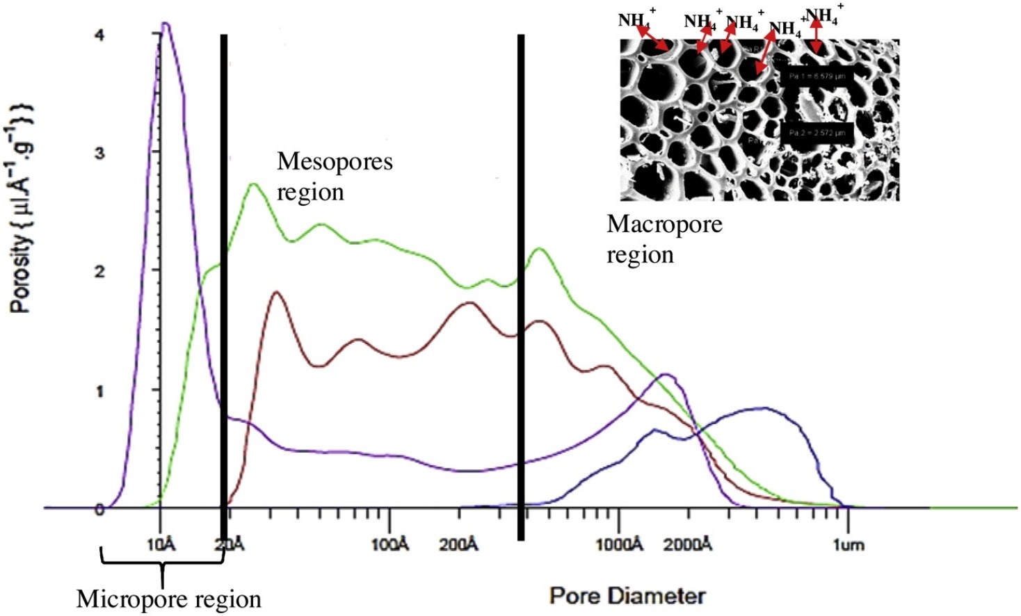 Biochar pore-size distributions